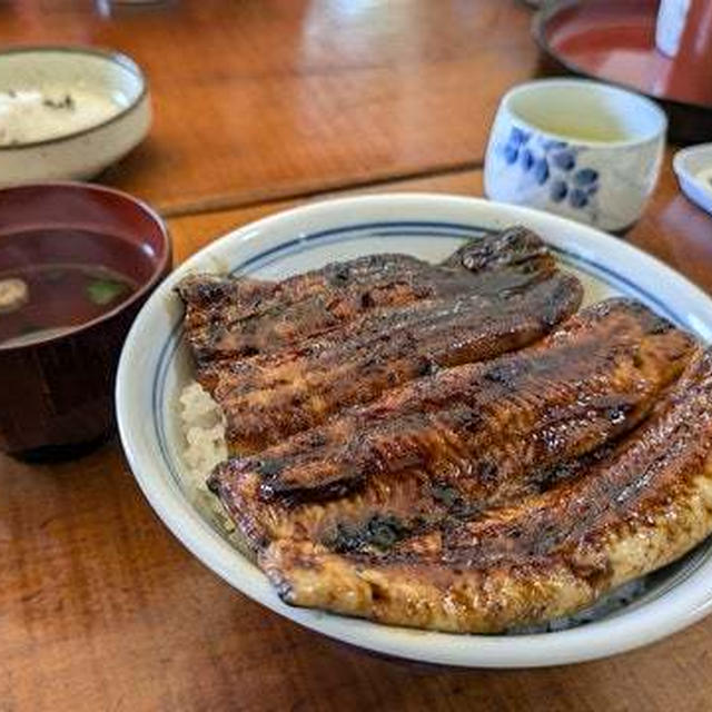 長野・松代の名店｢うなぎ処かゞ井｣でうな丼