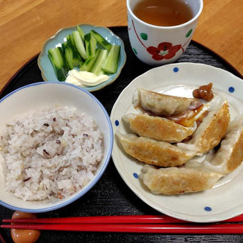 しょうが餃子ときゅうり