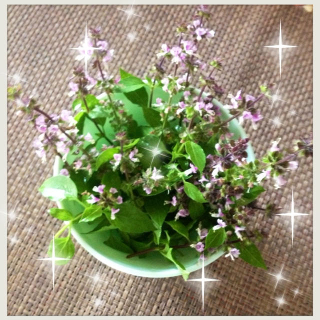 ホーリーバジルの花でフレッシュハーブティー By Mimoza Breezeさん レシピブログ 料理ブログのレシピ満載