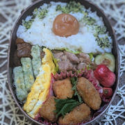 暑いと寒いで冷房、暖房？～夫のお弁当264