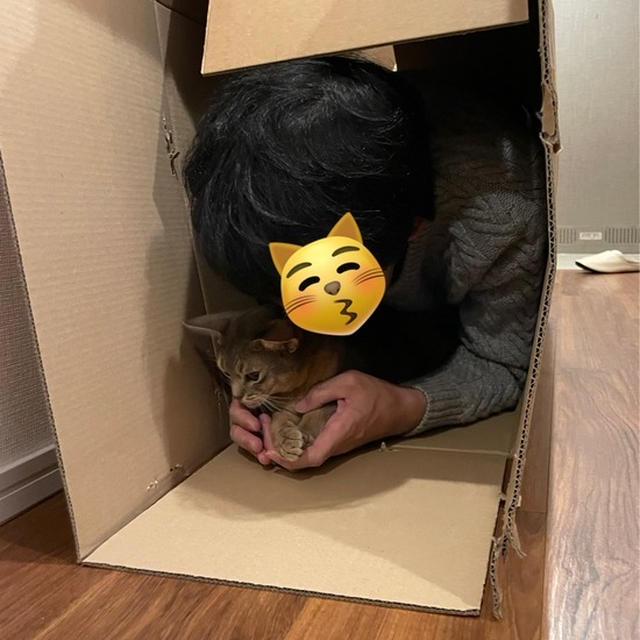 猫ごっこするだんなさま