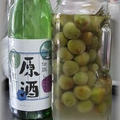 日本酒と冷凍青梅で漬ける”梅酒”