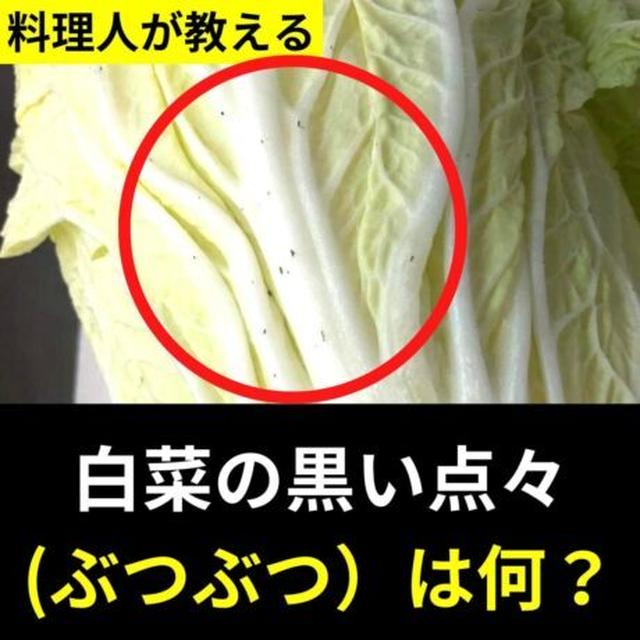 白菜の黒い点々(ぶつぶつ）は何？