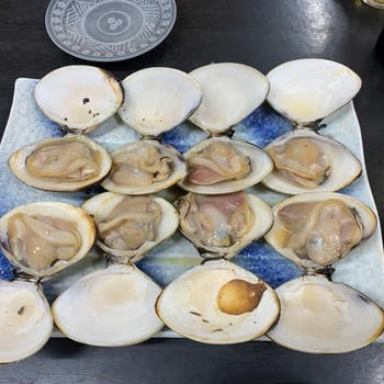 白子に行く前に、九十九里で蛤を食す！