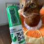 りす子のお目目のぬり薬