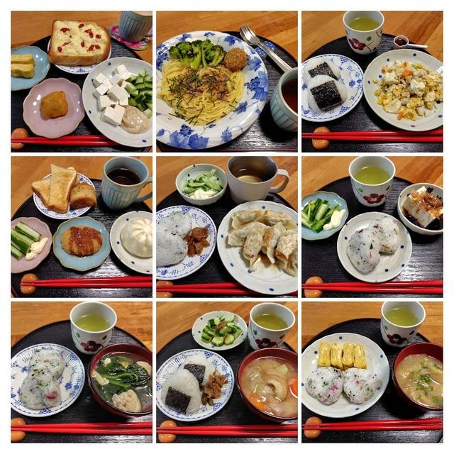 5月11日（日）～5月17日（土）の食事