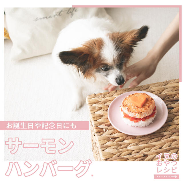 犬の誕生日にもおすすめ◎サーモンのハンバーグレシピ（いぬのきもち掲載　手作り犬おやつレシピ）