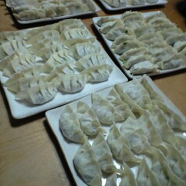 餃子パーティー♪