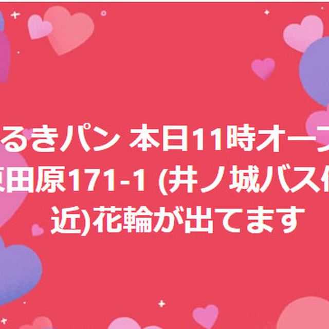 本日11時オープンです