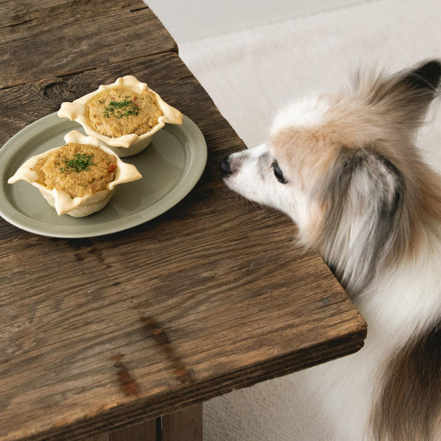 手作りパイ生地のミニカップミートパイ（手作り犬ごはん）