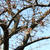 桜咲く 2014 春