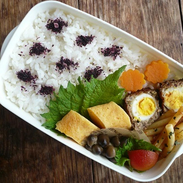 うずらのスコッチエッグ風弁当＆ハンバーグ♪