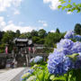 柳谷観音楊谷寺