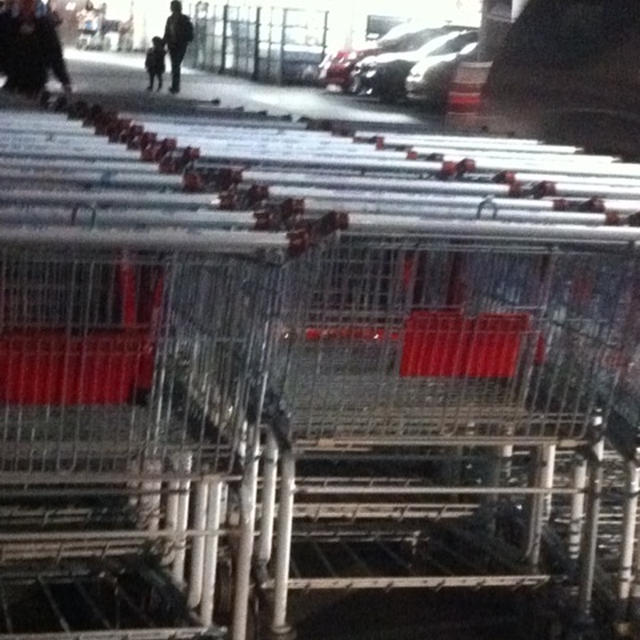 コストコへGO