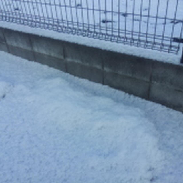 雪