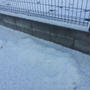 雪