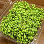 初めて「山椒の実」を買うてみました