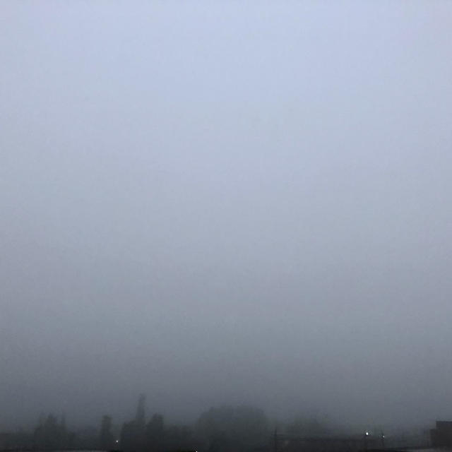 白い朝