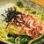 桜海老と生しらすの和風パスタ