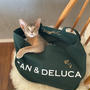 『PASS THE BATON』でリメイクされた『DEAN&DELUCA』のチャリティーバッグがとってもかわいい♪