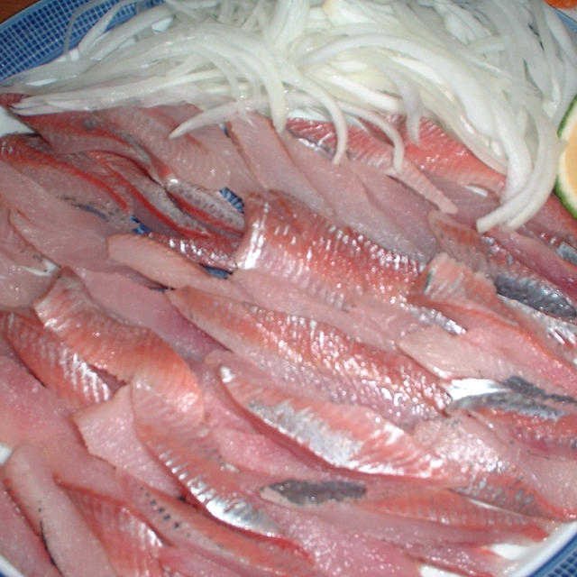 魚づくしメニュー
