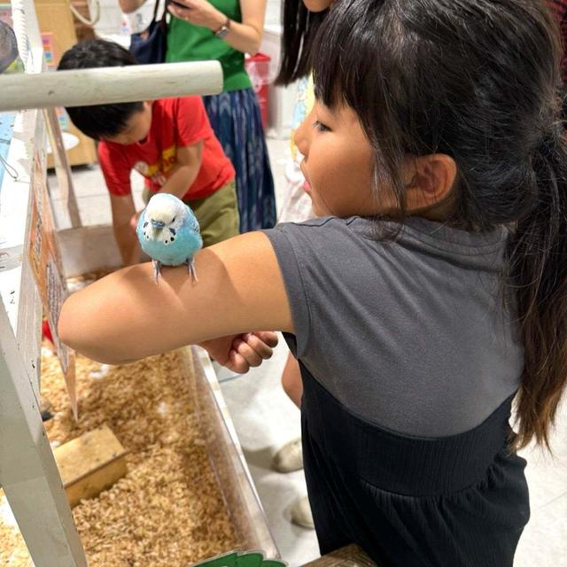 娘の熱望で行った場所 子供達がテンション上がったお菓子