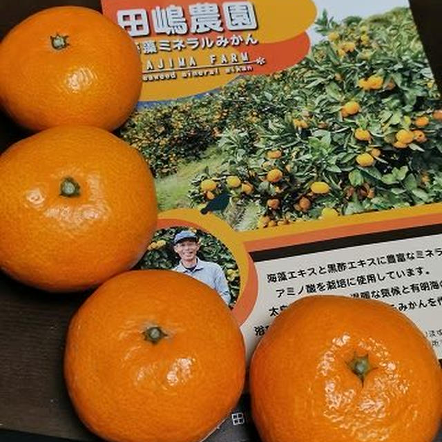 佐賀県太良町の海藻ミネラルみかんが届きました！