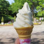 今日はアイスクリームの日♪