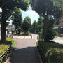 猛暑ラン