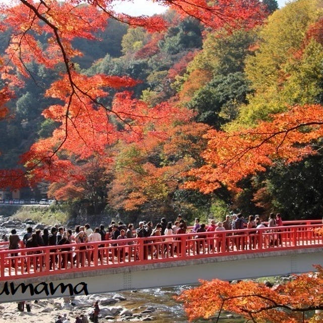 ちゃぶママのお出かけ日記～　紅葉祭り～