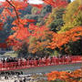 ちゃぶママのお出かけ日記～　紅葉祭り～