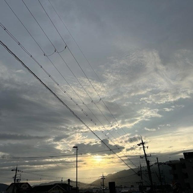 朝から泣いた日