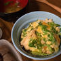 【こどもごはん】遅い帰宅の時の☆いつかの晩ご飯『春キャベツを楽しむ親子丼』