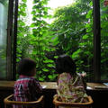 ２０１０里帰り