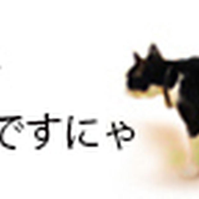 秋の楽しみ、秋刀魚です。