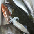 相模湾の魚と海鮮丼とインフルとインテリア