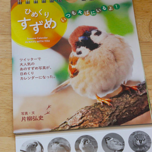 【 すずめの日めくりカレンダー♡ 】