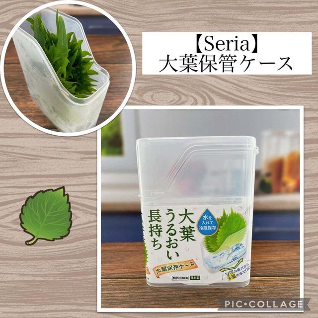 【セリア】大葉保管ケース～シソの葉が驚くほど、日持ちするケース！！