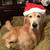 Merry　Christmas