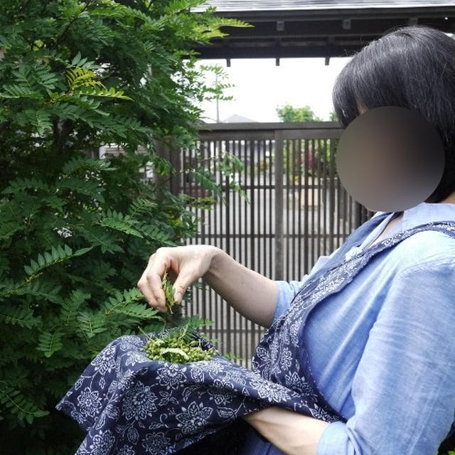 山椒の実で山椒鍋。