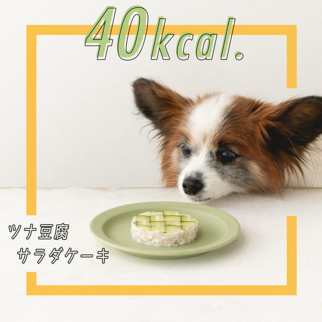 【40kcal】豆腐とマグロの簡単ケーキ＆おしゃれきゅうり乗せ。