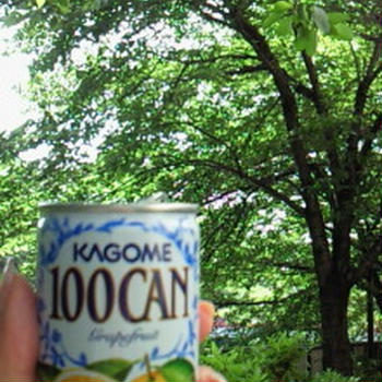 晴れた