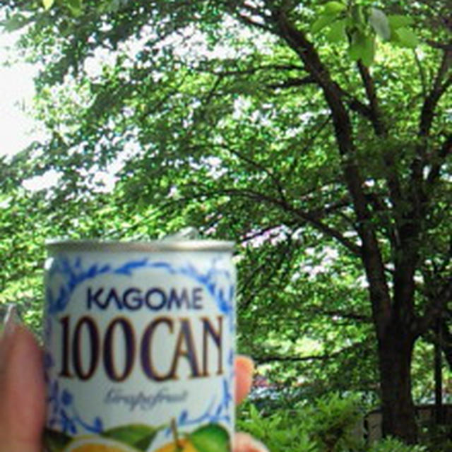 晴れた