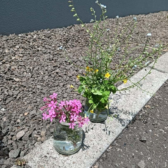 腰部脊柱管狭窄症〜タリージェ錠19 日目