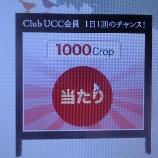 ビックリ！１０００ポイント当たった！！(≧▽≦)