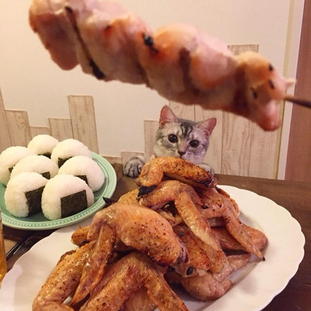 メメちゃんのささ身