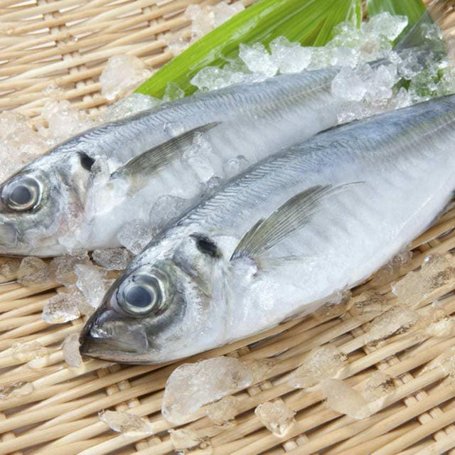 あじ 値段 アジ 鯵 1キロ平均793円 相場や旬の情報まとめ