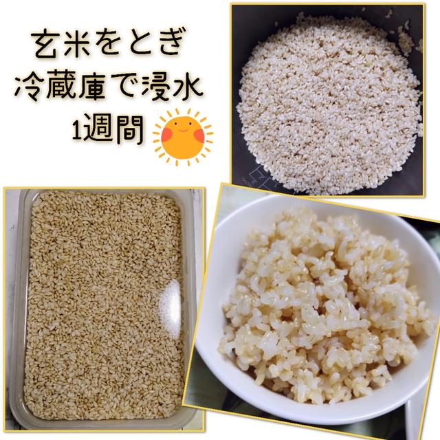 【作ってみた！】1週間浸水の玄米ご飯