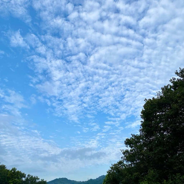 朝散歩♪