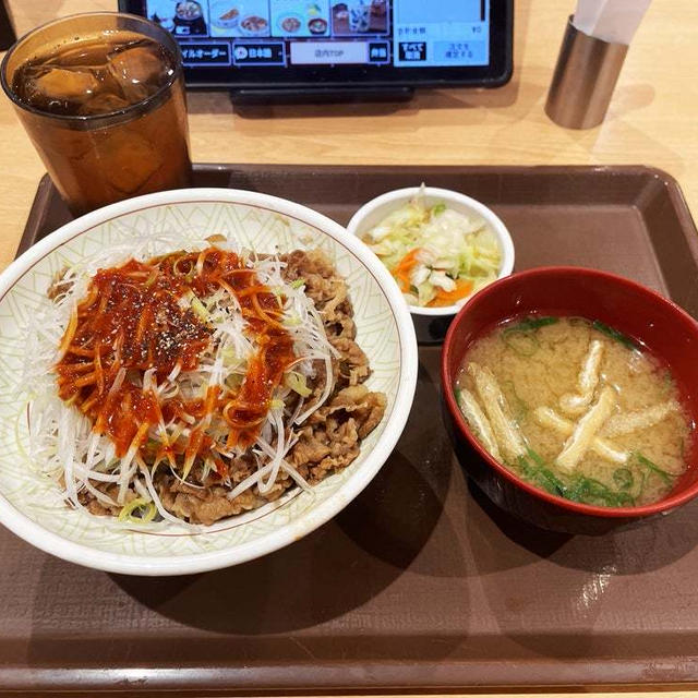 赤だれ白髪ねぎ牛丼の中盛とおしんこセットを食てみた 〜すき家〜